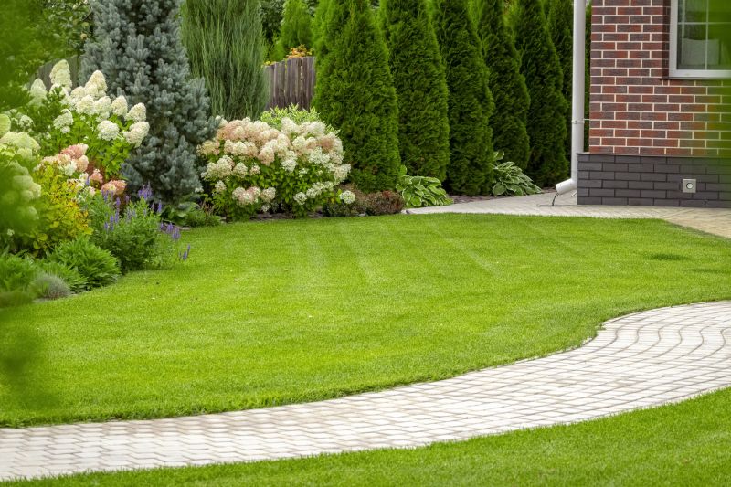 Elegant Paver Design